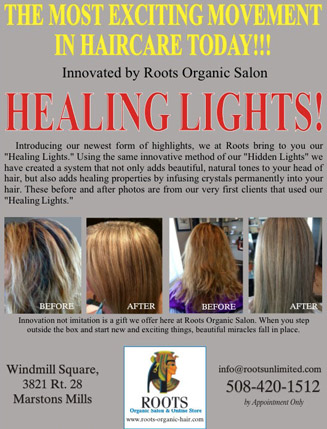 Healing Lights article about Roots Organic Salon