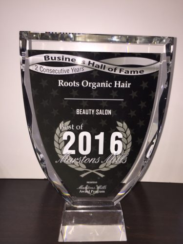 photo of award trophy for Roots Organic Hair for 2 consecutive years in business hall of fame